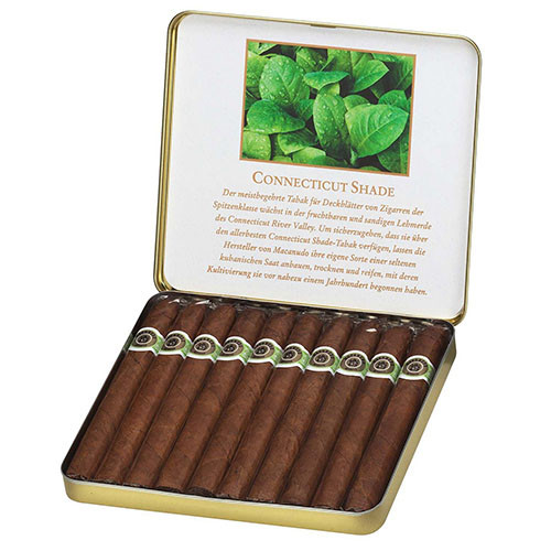 Macanudo Café Ascots 10 Zigarren